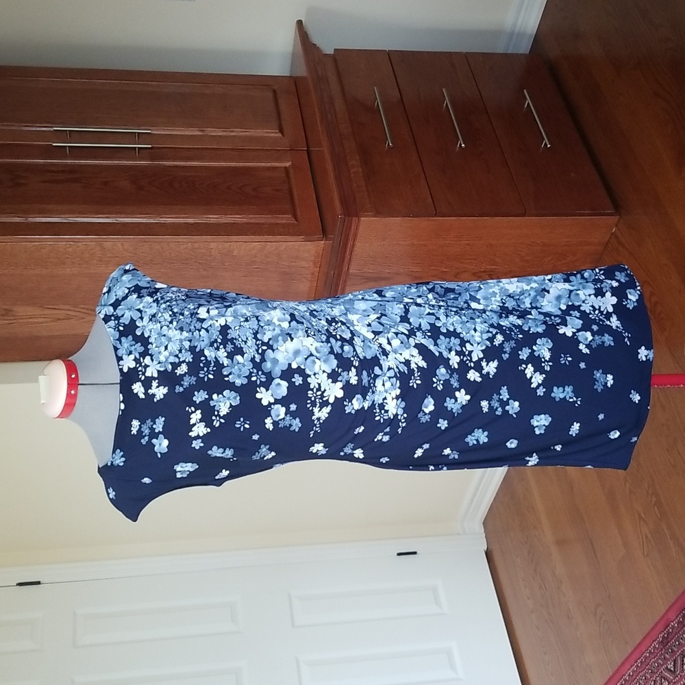 Chaps Dress